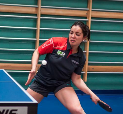 Capture d_écran 2017-05-01 à 11.52.48