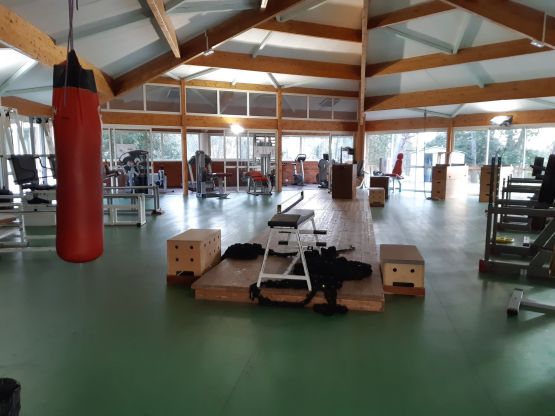 51603178_544170466070752_150543044720984064_n